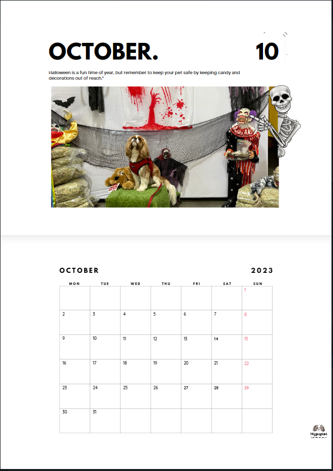 Unique Doggy Calendar 2023 AU & NZ - by MyPuplet