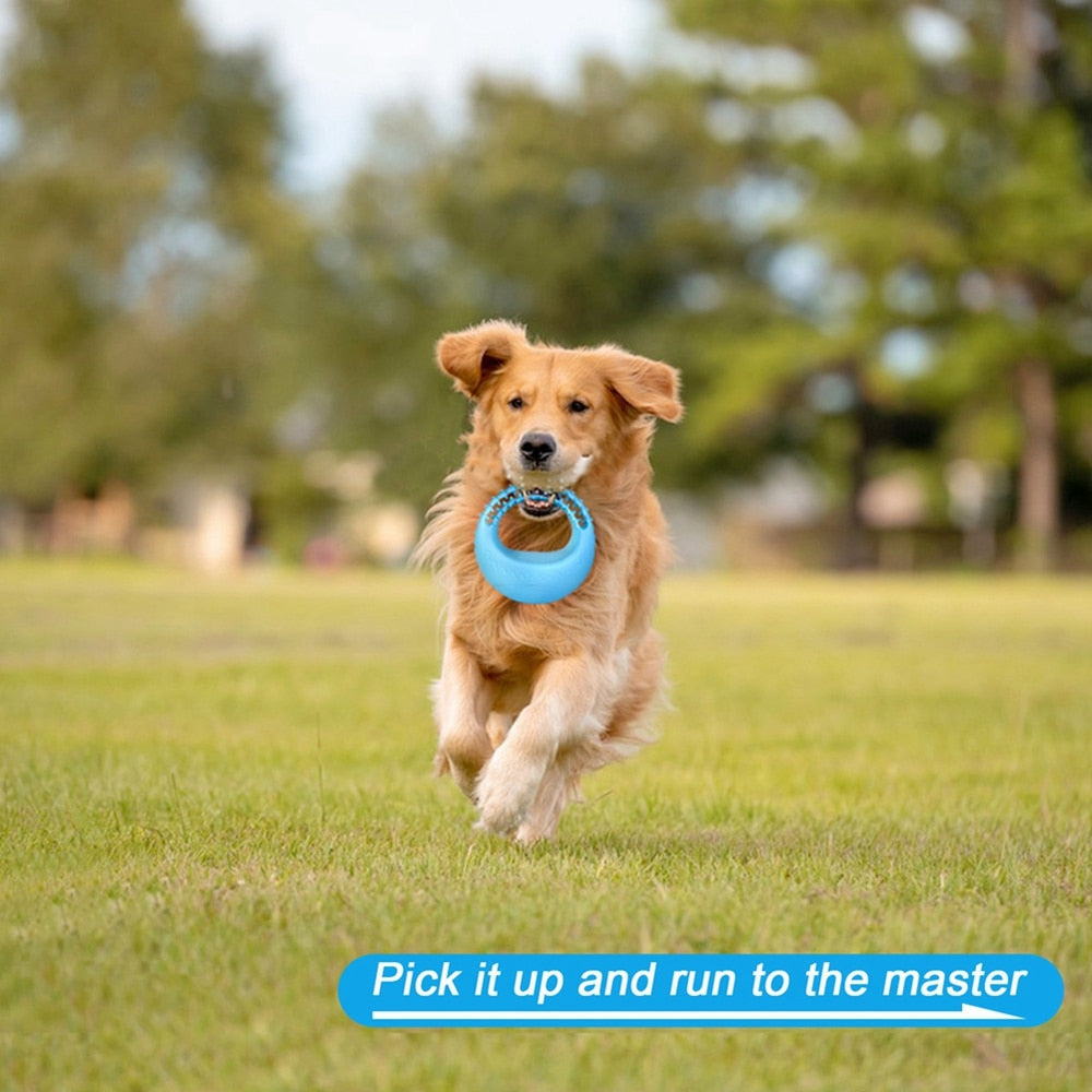 Pet Dog Interactive Flying Discs Toys