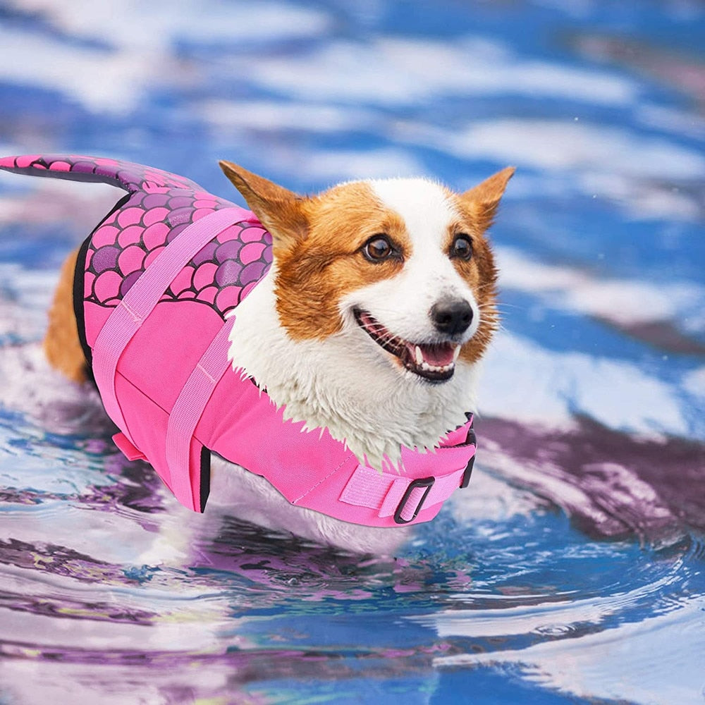 Dog Life Jackets