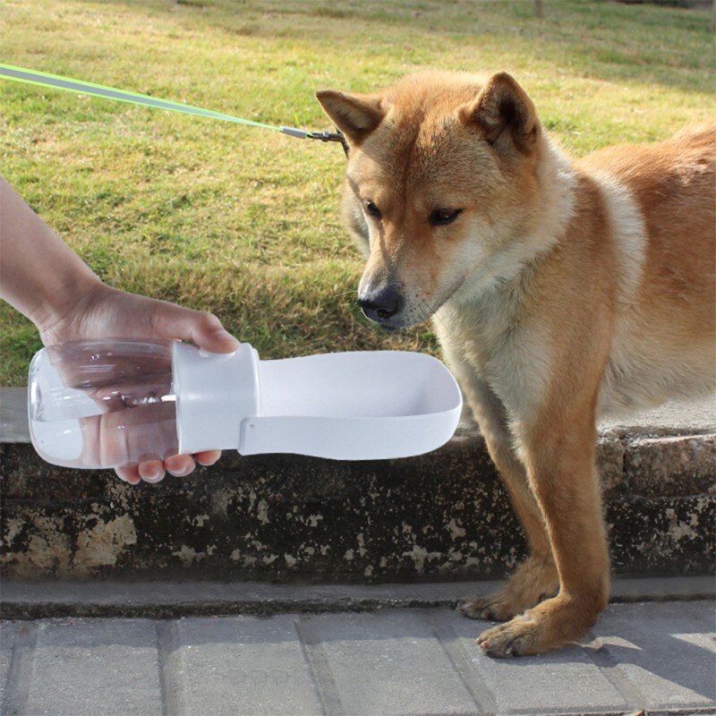 Pet Dog Water Dispenser Foldable