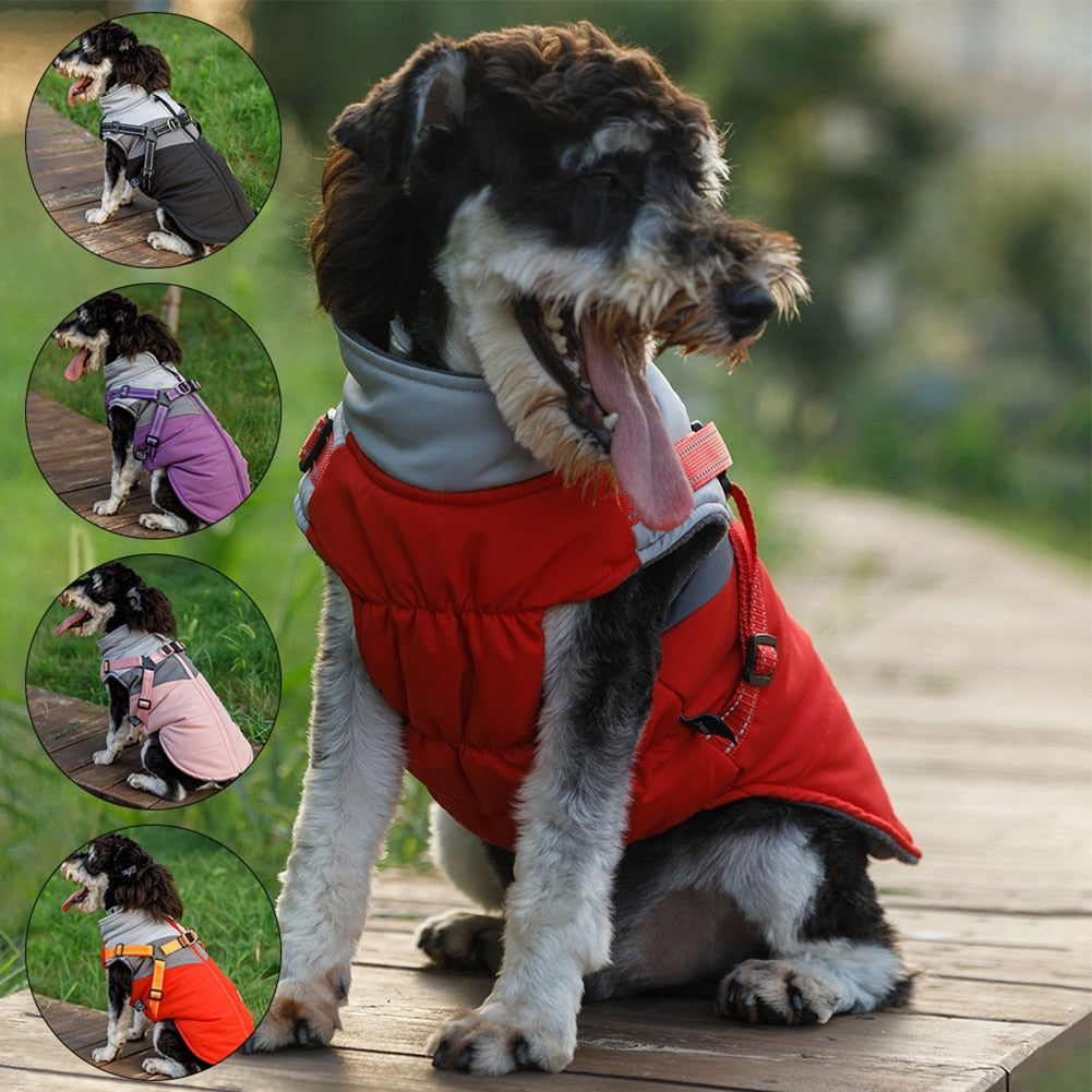 Winter Warm Pet Dog Coat With Harness